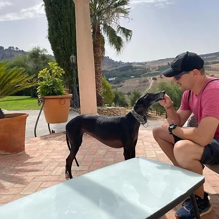 La Mirada De Отель Ронда