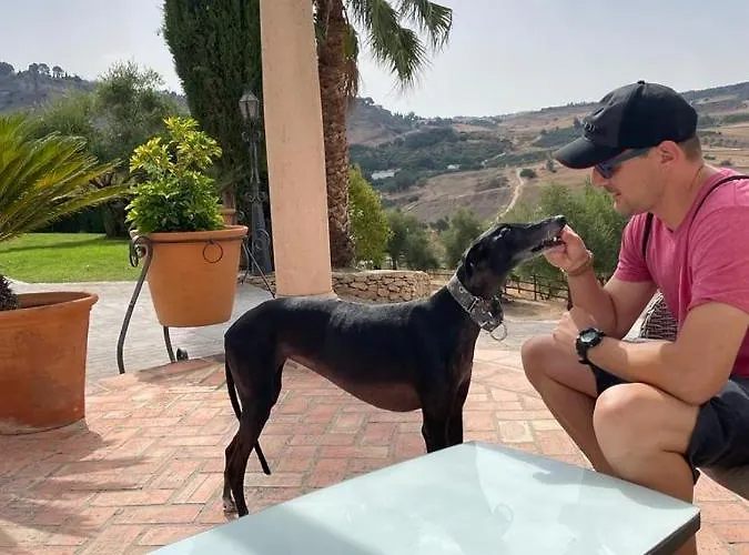 La Mirada De Hotel Ronda